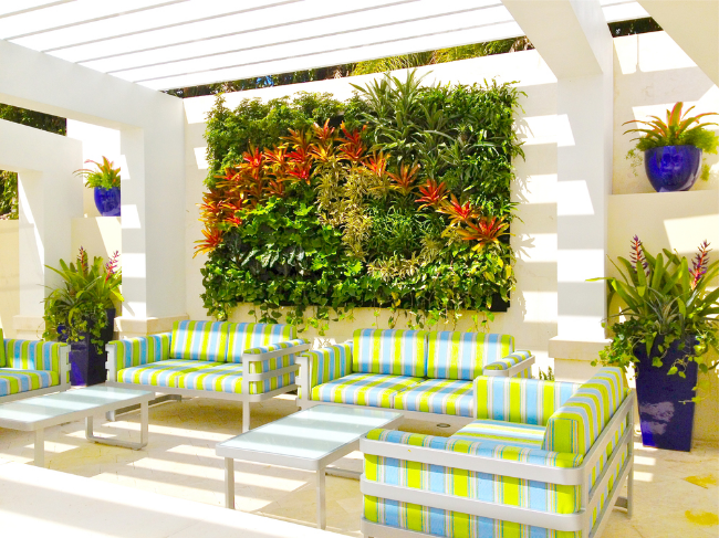Jeff-Allis-Tru-Vine-Design.jpg