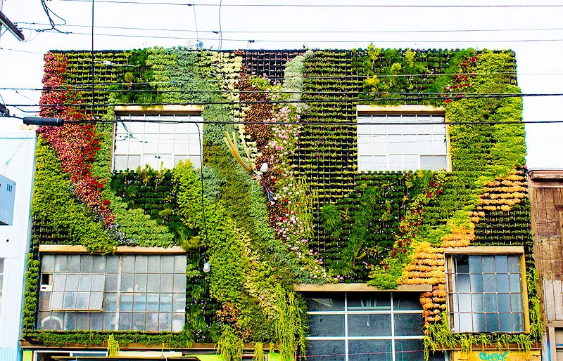 Florafelt Pro System filled with California Native Species by Amanda Goldberg and Brandon Pruett in San Francisco on 14th Street between Mission and Folsom.