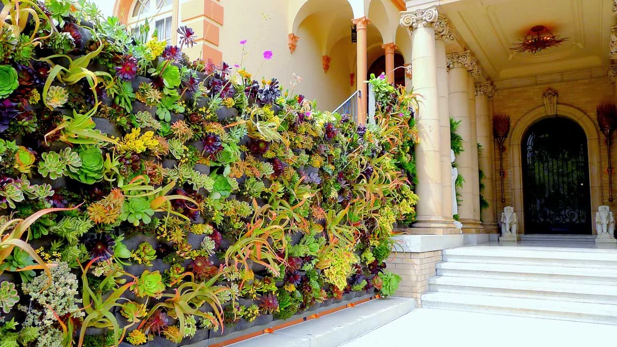 Davis Dalbok, Living Green Design. Decorator Showcase 2012. Florafelt Vertical Garden System.