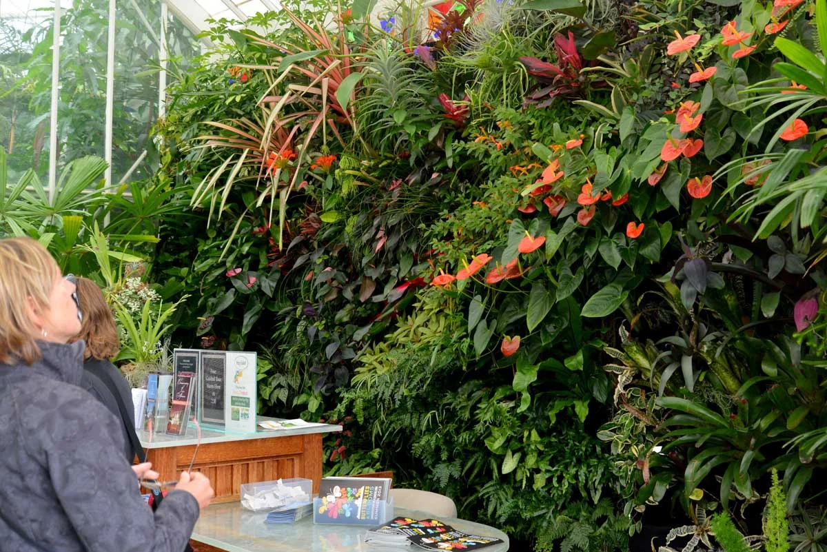 San Francisco Conservatory of Flowers. Florafelt Vertical Garden System.