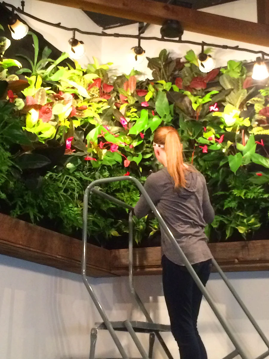 Florafelt-Vertical-Garden-System-Nathan-Brown-The-Turf-Jockeys-IMG_1130.jpg