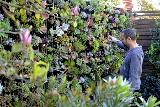 Florafelt Vertical Garden Pro System — Florafelt Living Wall Systems
