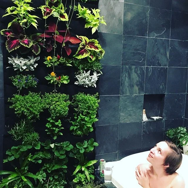 Airbnb Coca-Cola Loft in Boston area features a Florafelt vertical garden for their guests.