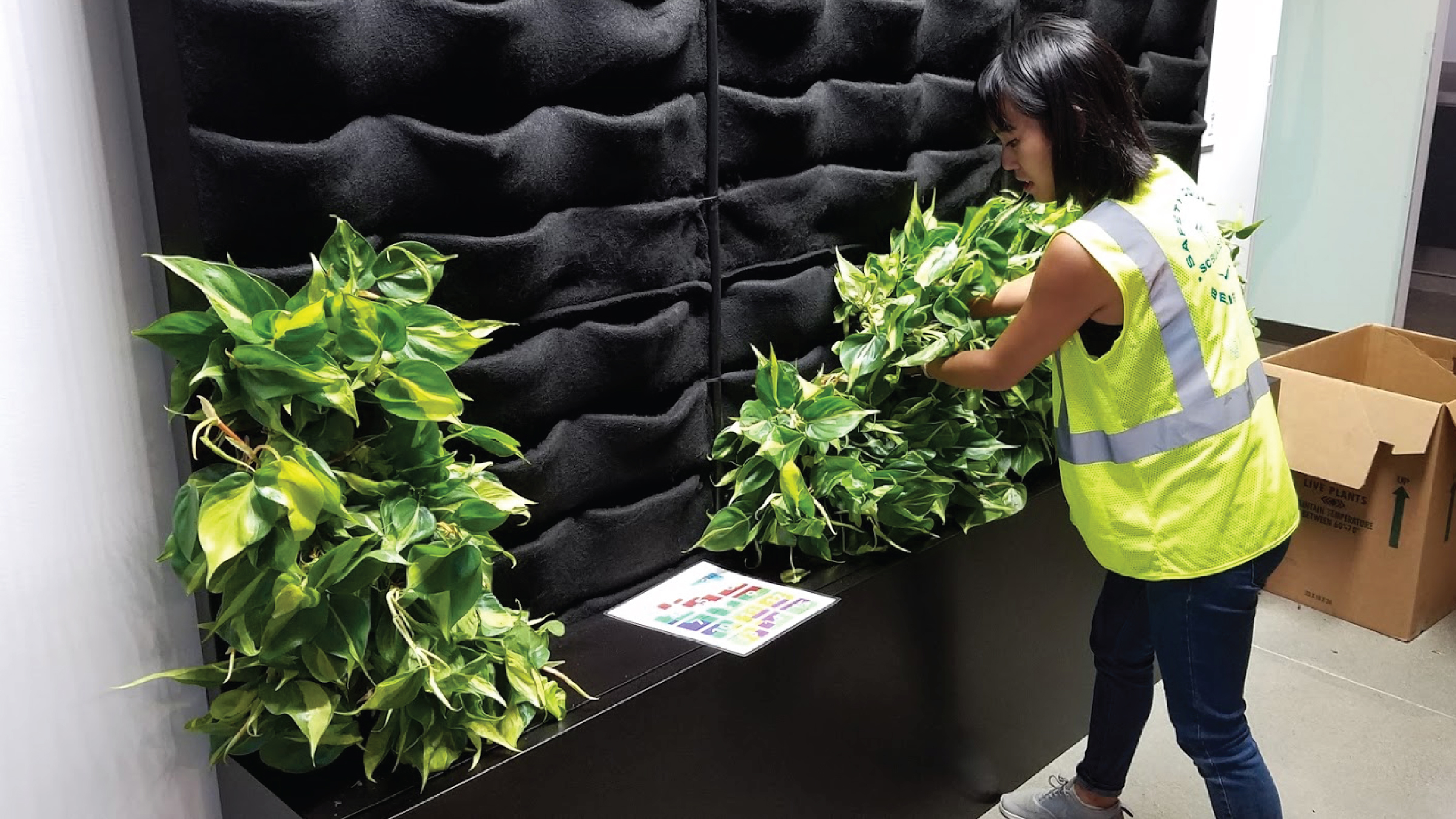 Amanda Goldberg &amp; Lucy Ng | Planted Design | Google Campus