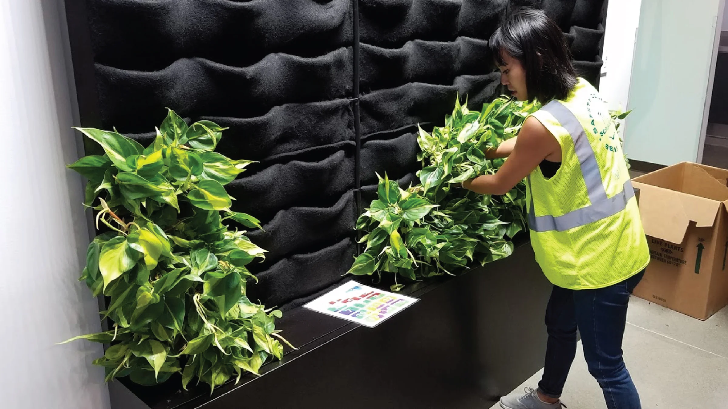 Amanda Goldberg & Lucy Ng | Planted Design | Google Campus