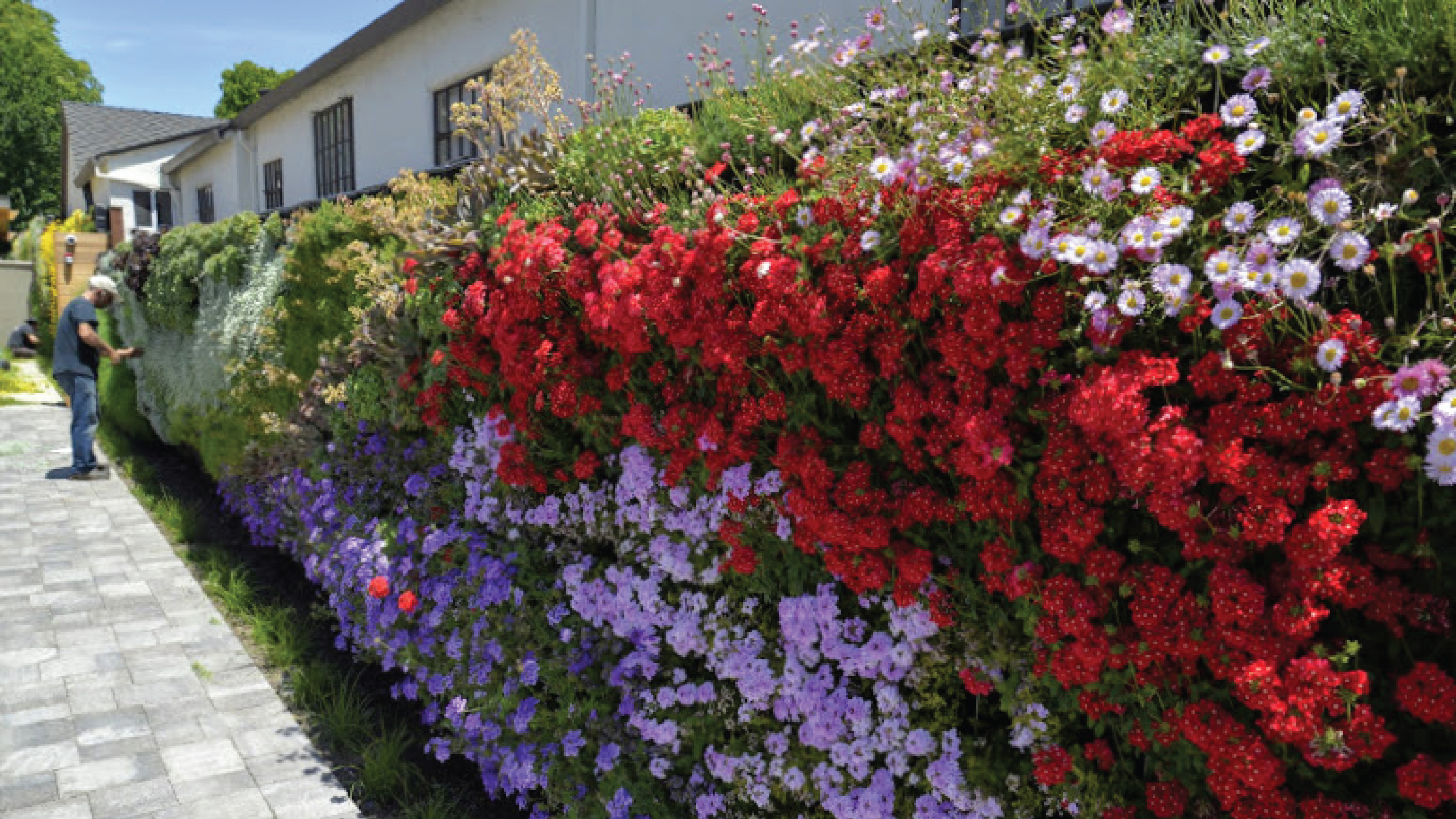 Amanda Goldberg &amp; Lucy Ng | Planted Design | Tony Adams Pools