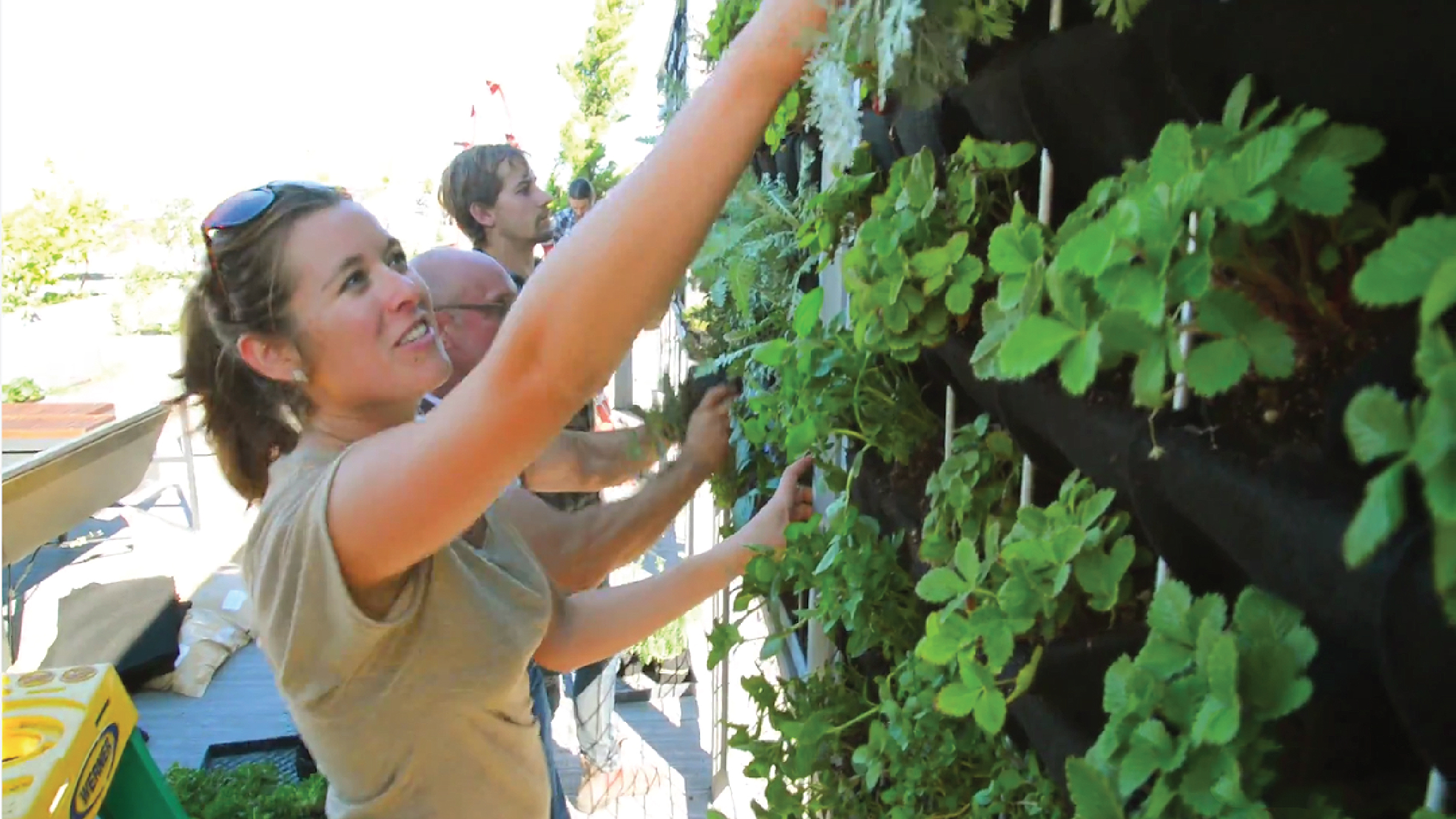 Living Green Design | Anchorsteam San Francisco