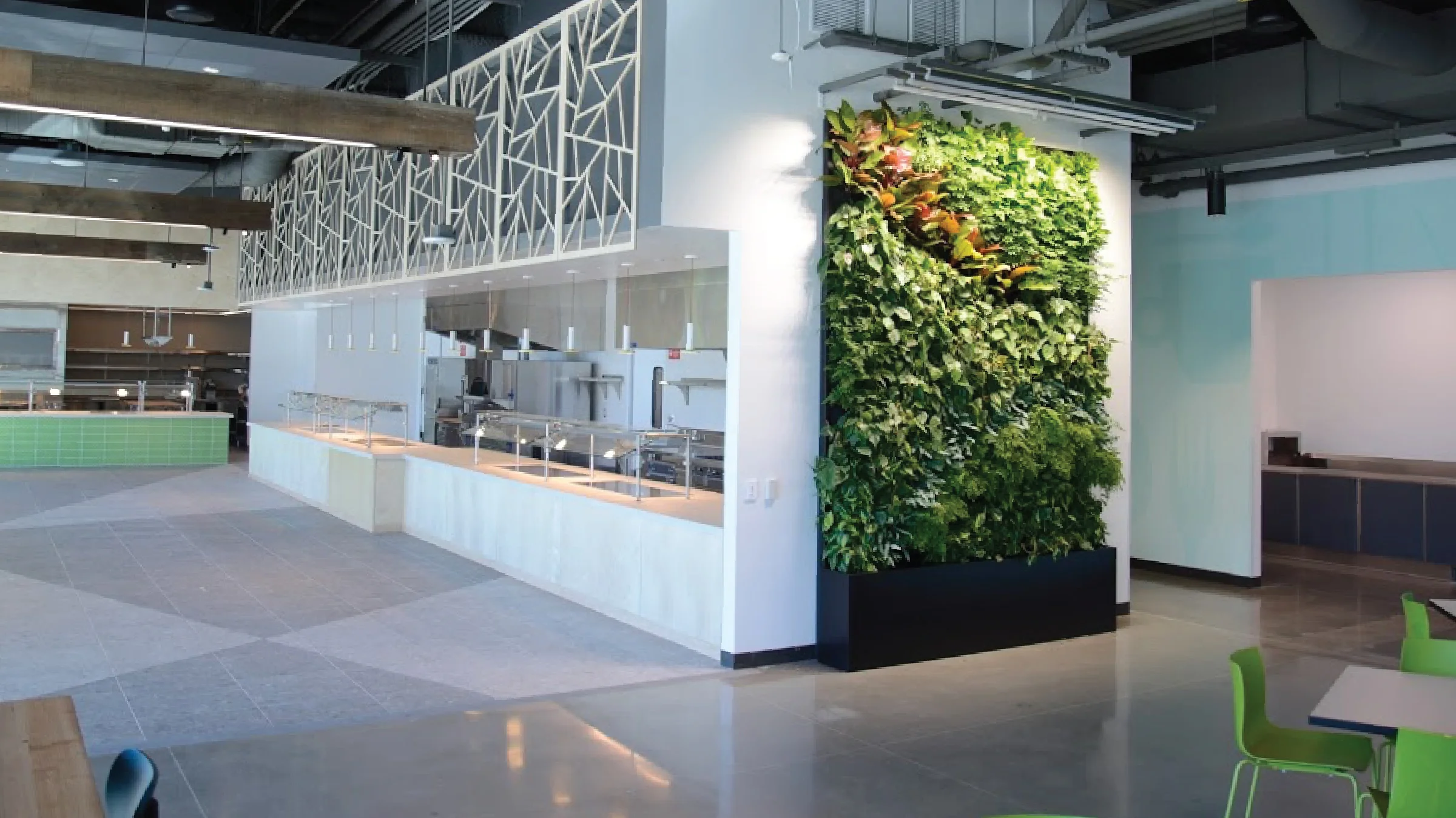 Amanda Goldberg & Lucy Ng | Planted Design | Google Campus
