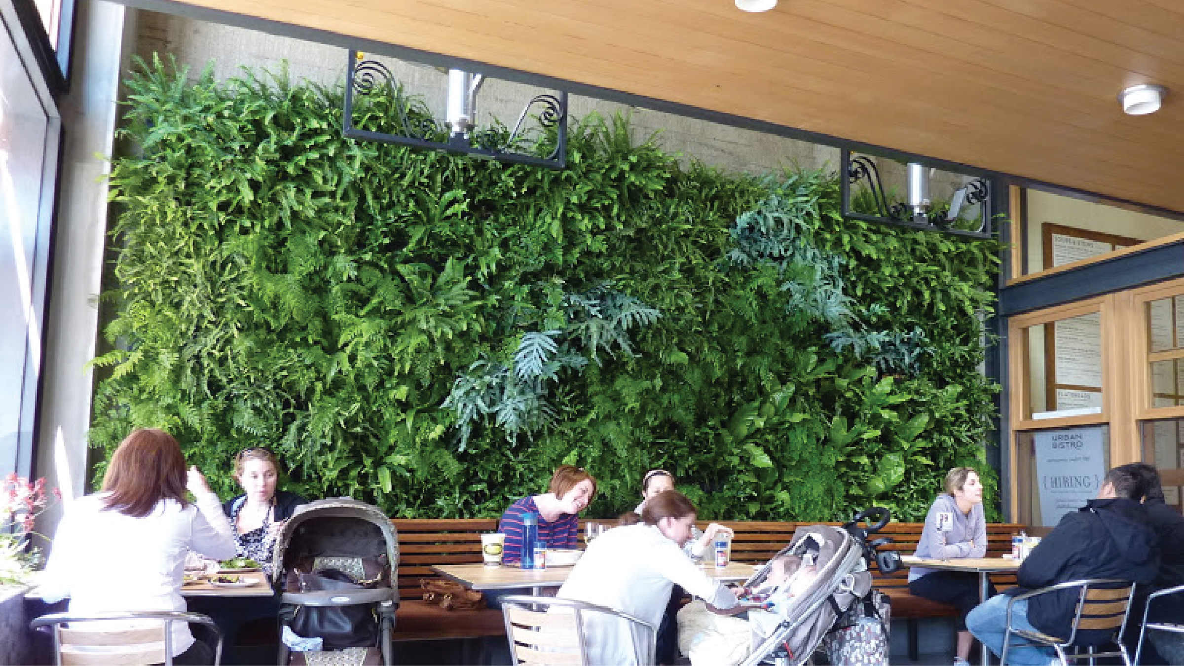 Chris Bribach | Plants On Walls | Urban Bistro