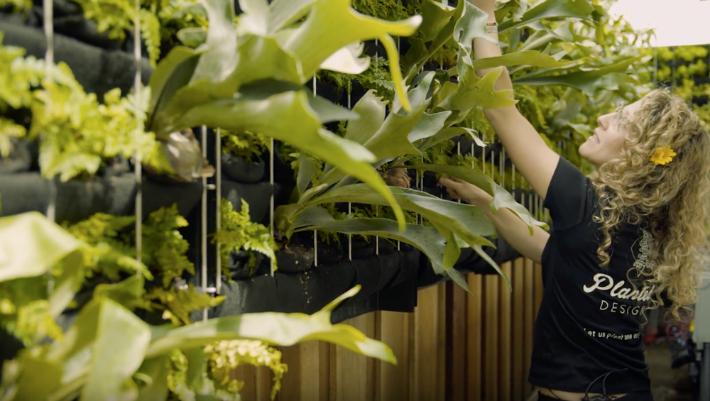 Florafelt Living Wall Systems