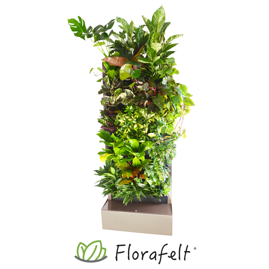 Florafelt Living Wall Products — Florafelt Living Wall Systems