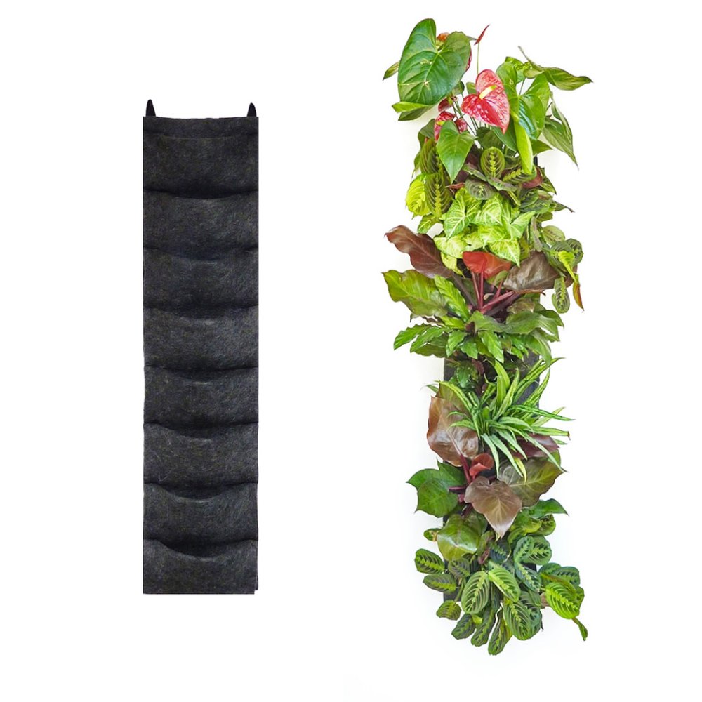 Florafelt Grow Felt 6 inch x 25 Yard Roll — Florafelt Living Wall Systems