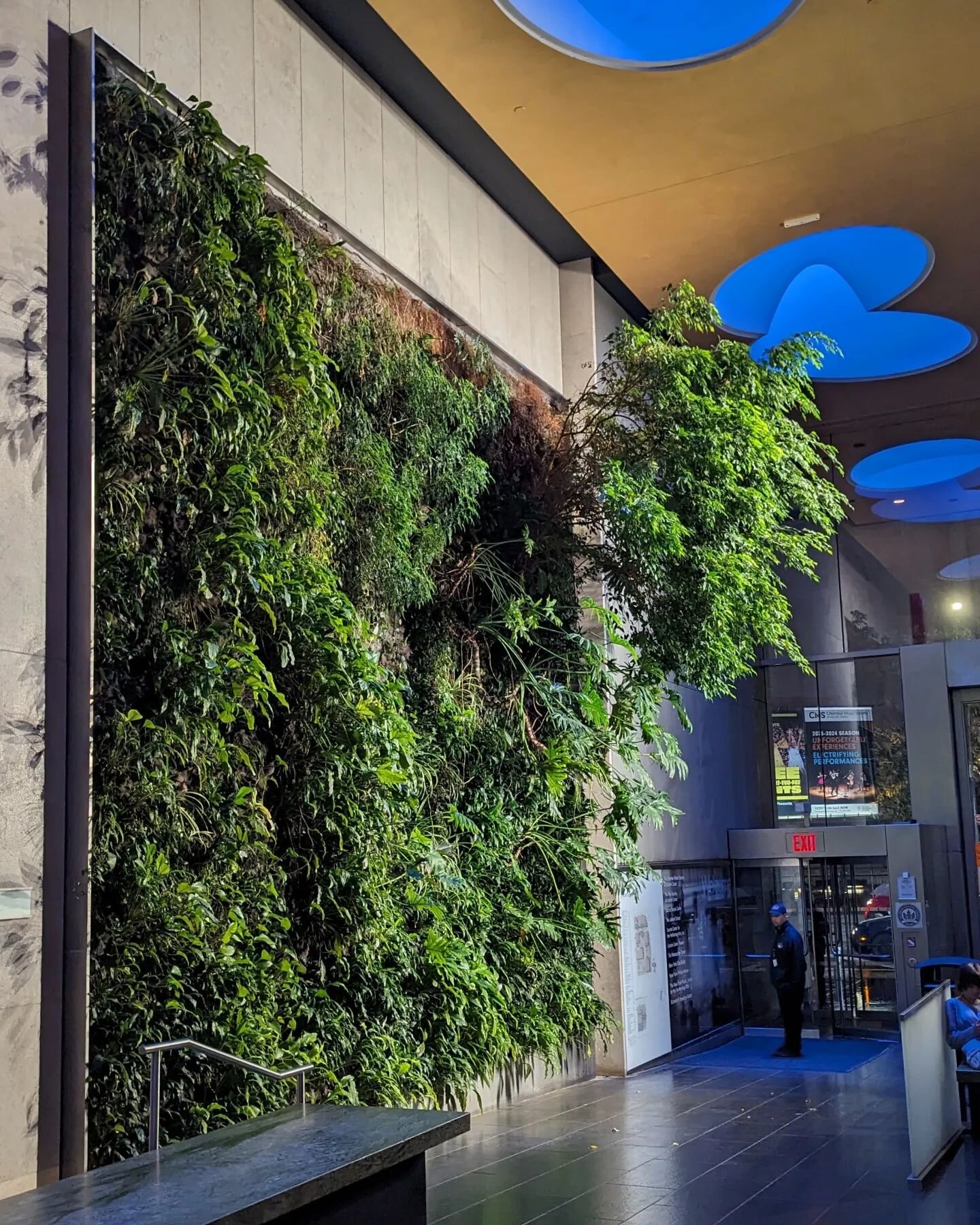 This 24' x 21' living wall is home to 1,500 tropical plants and large tree-like shrubs grown in felt layers and watered hydroponically. By #stacycoleman #plantwalldesign