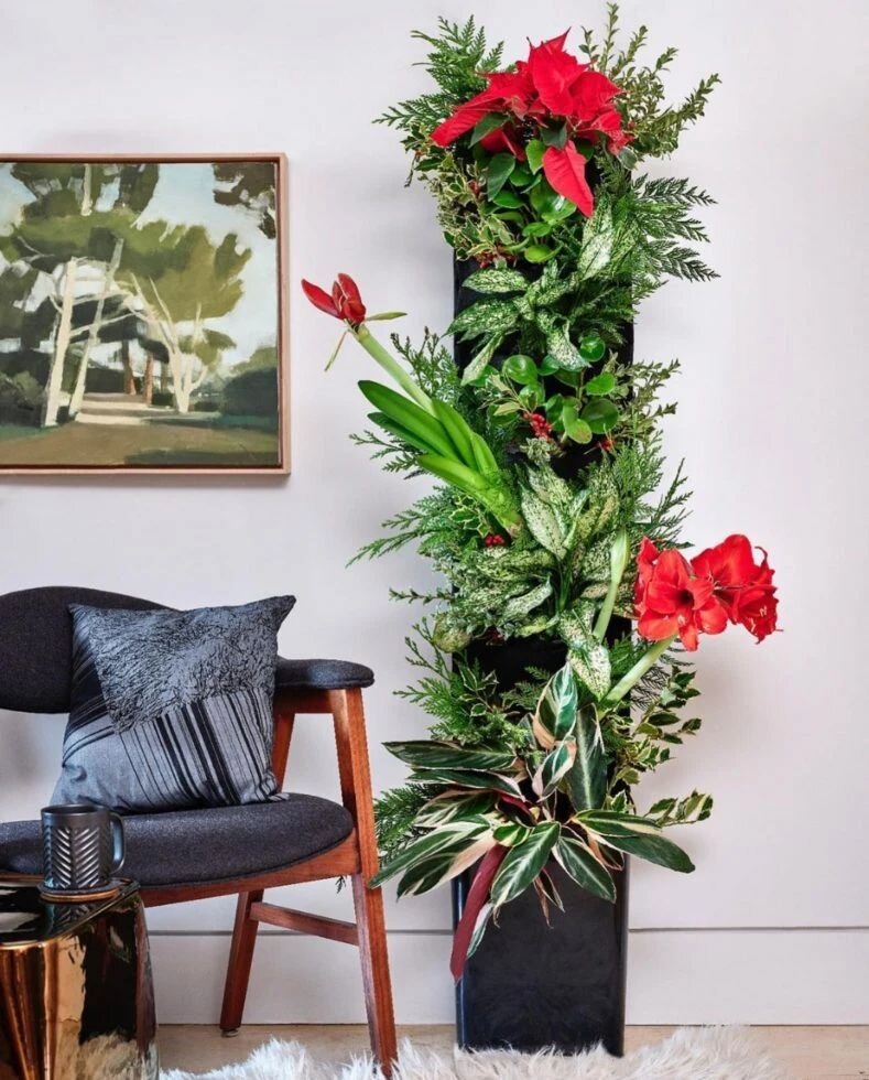 Bring the festive spirit indoors with a living wall makeover. Add pops of color with poinsettias, amaryllis (paperwhites), or other vibrant foliage using the Florafelt Compact Kit. It's the perfect way to add a touch of nature's beauty to your holida