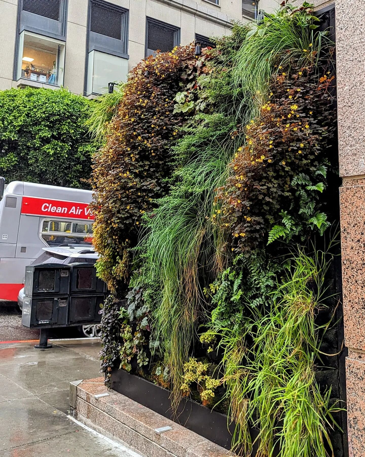 Here's to all the living walls bringing clean air to our urban centers. Let's all join in and make plants a priority. Promote a green future with real plants. @hilton hotels @florafelt pockets living wall by @chris.bribach @plantsonwalls