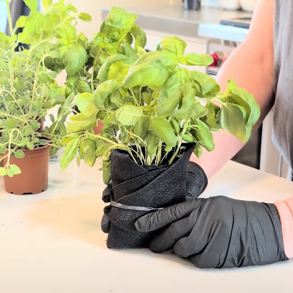 Florafelt Root Wraps How To Use 6.png