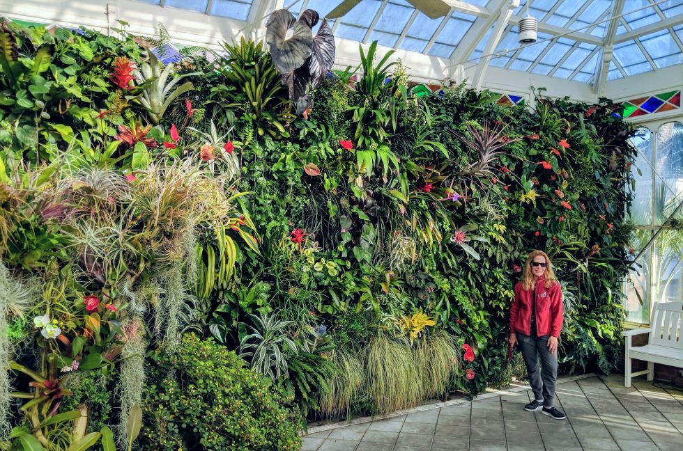 Conservatory of Flowers Entry Vestibule Living Wall