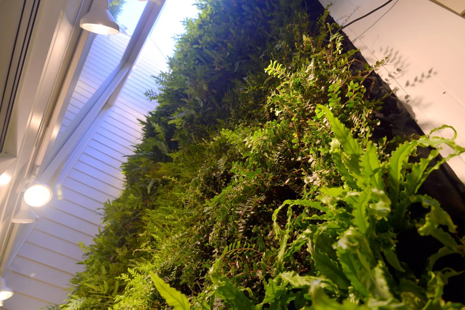 View of Urban Green Luxury Remodel — Florafelt Living Wall Systems