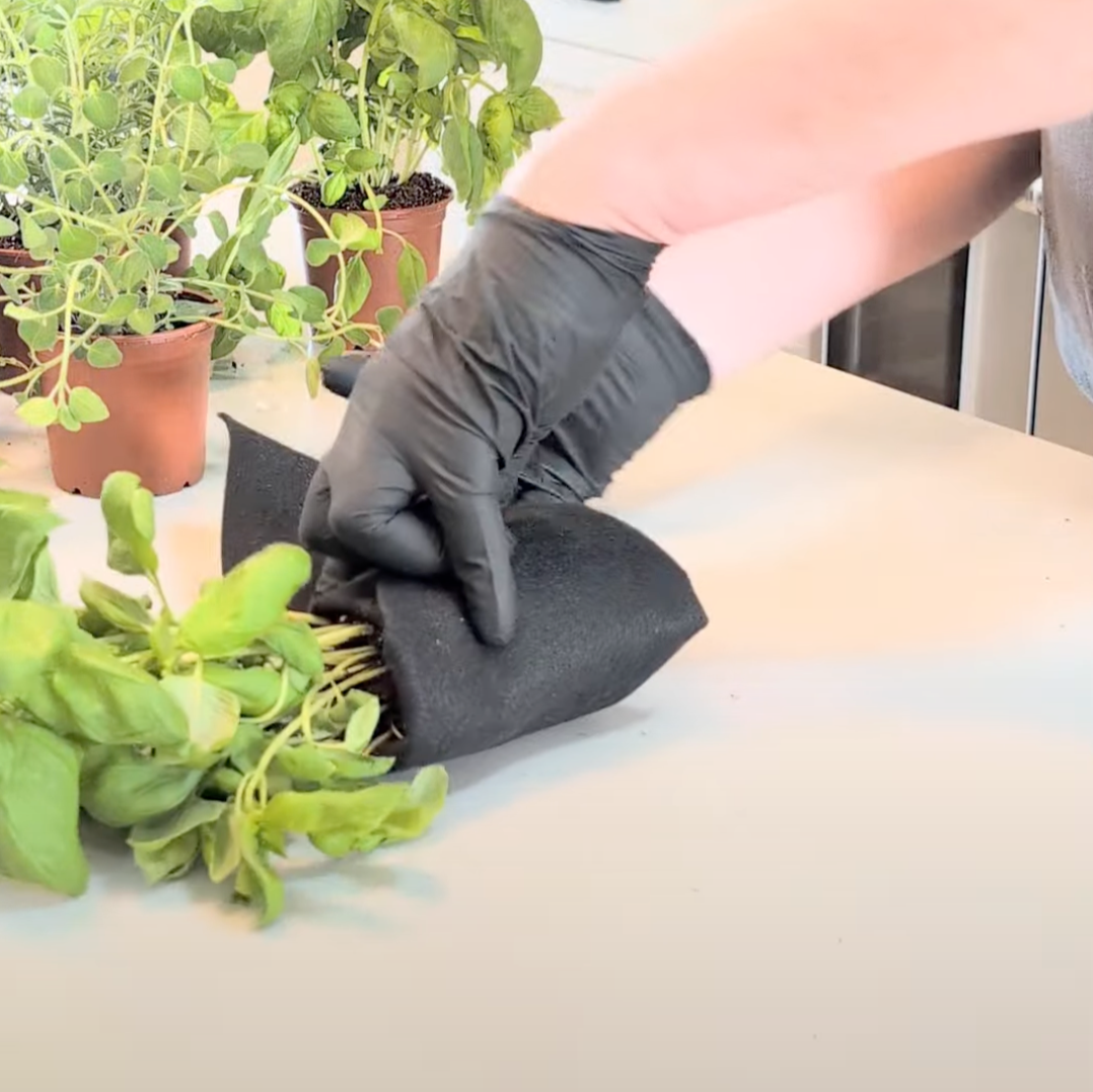 Florafelt Root Wraps How To Use 3.png