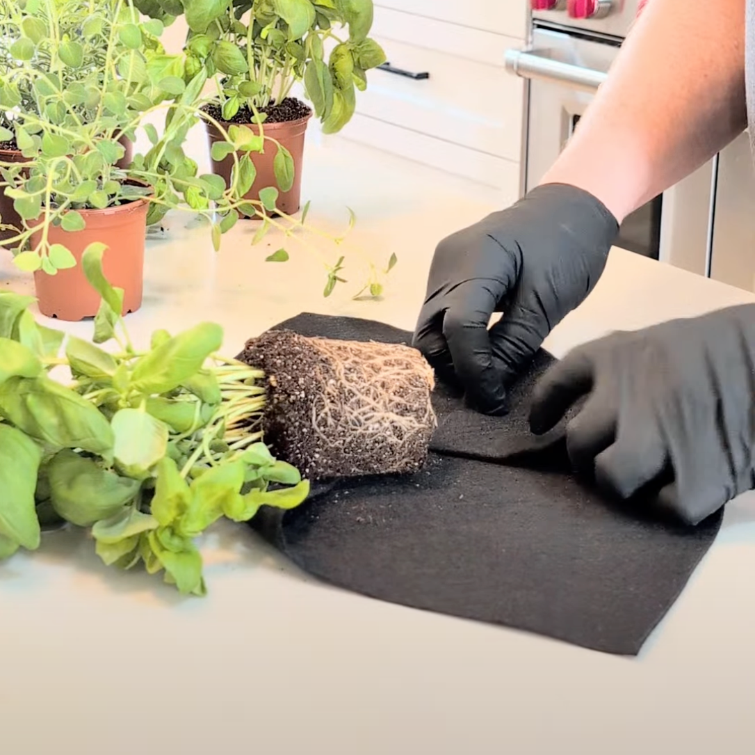 Florafelt Root Wraps How To Use 1.png