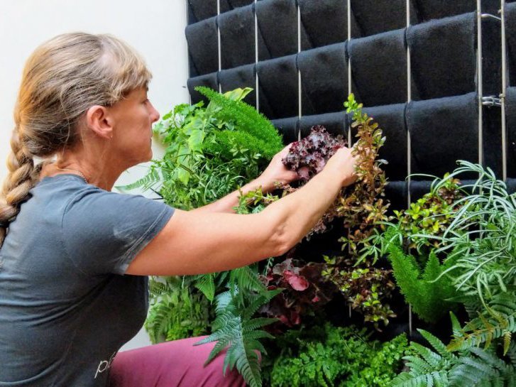 Cinderfella's Vertical Garden Planter - Urban Gardens