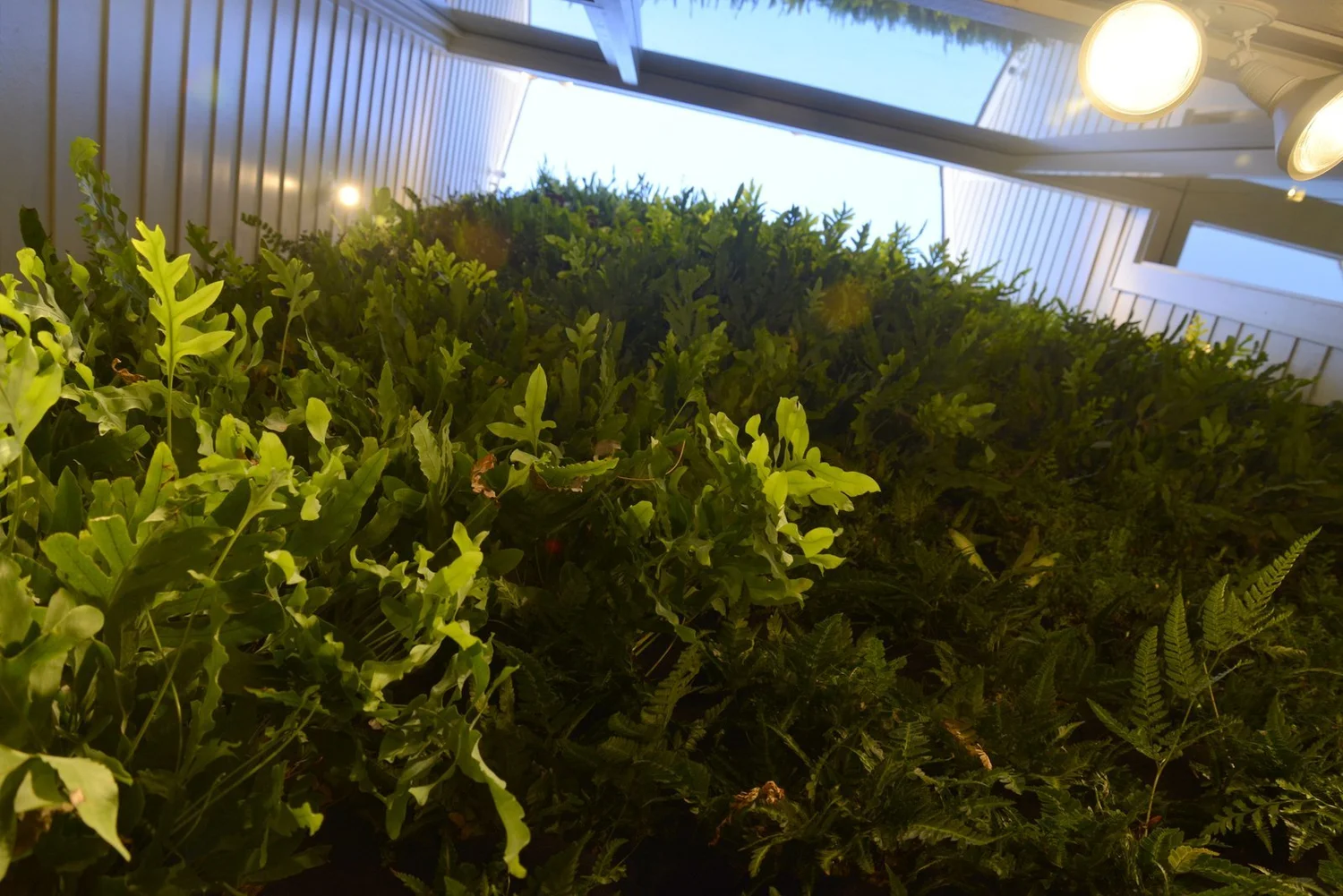 View of Urban Green Luxury Remodel — Florafelt Living Wall Systems