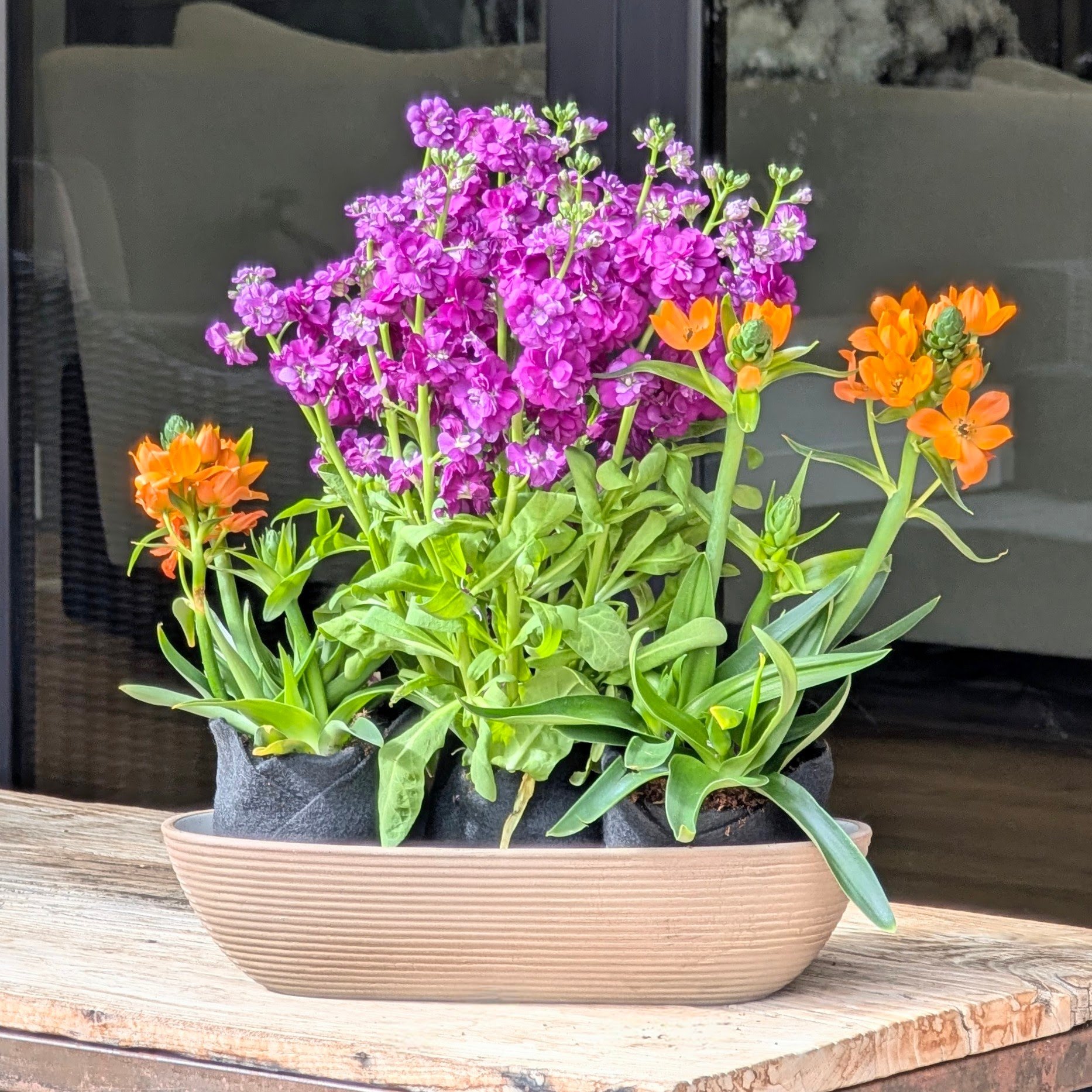 Florafelt Root Wraps long planter flowers.jpg