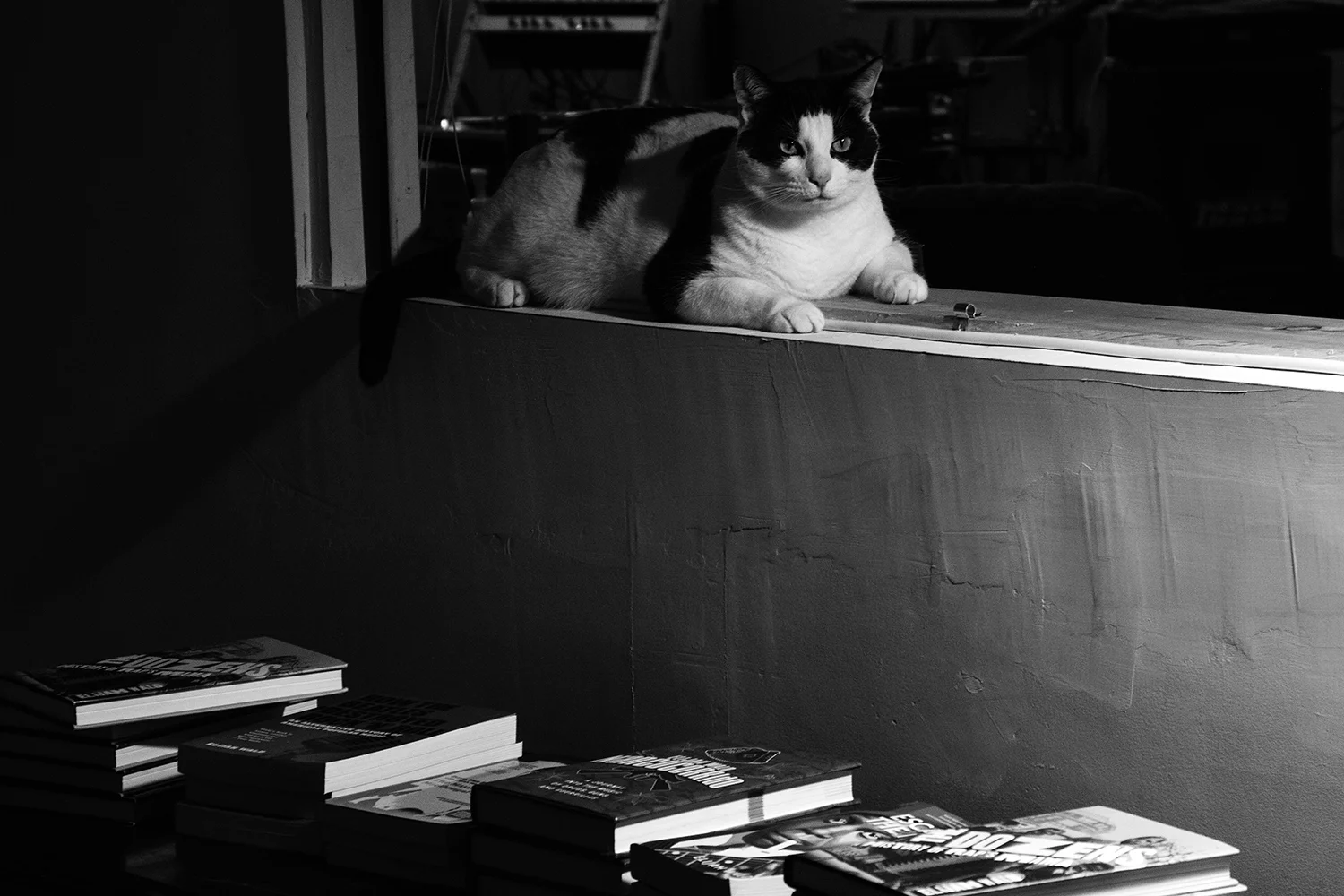 stranger in the night.jpg