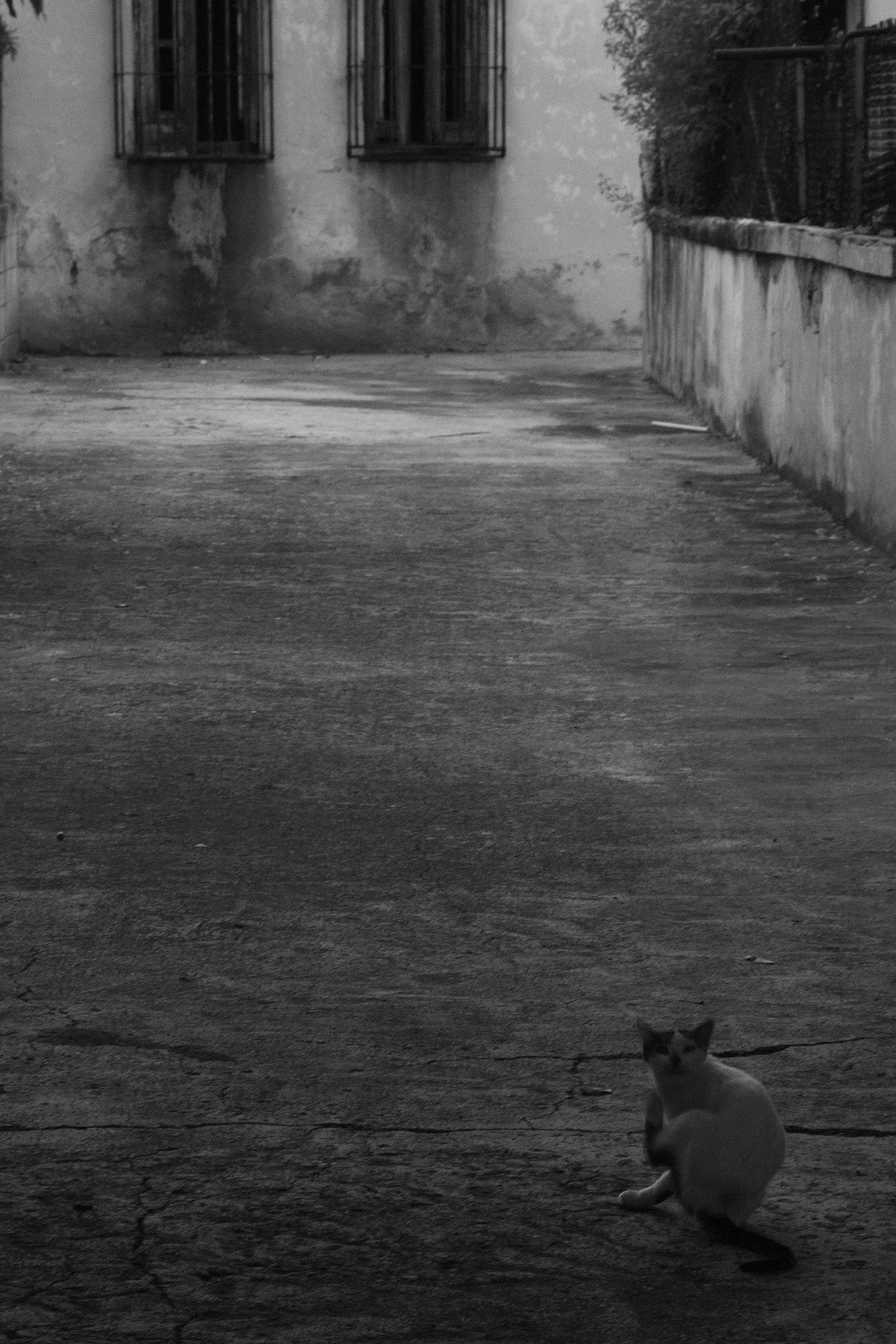 image-asset (3).jpeg