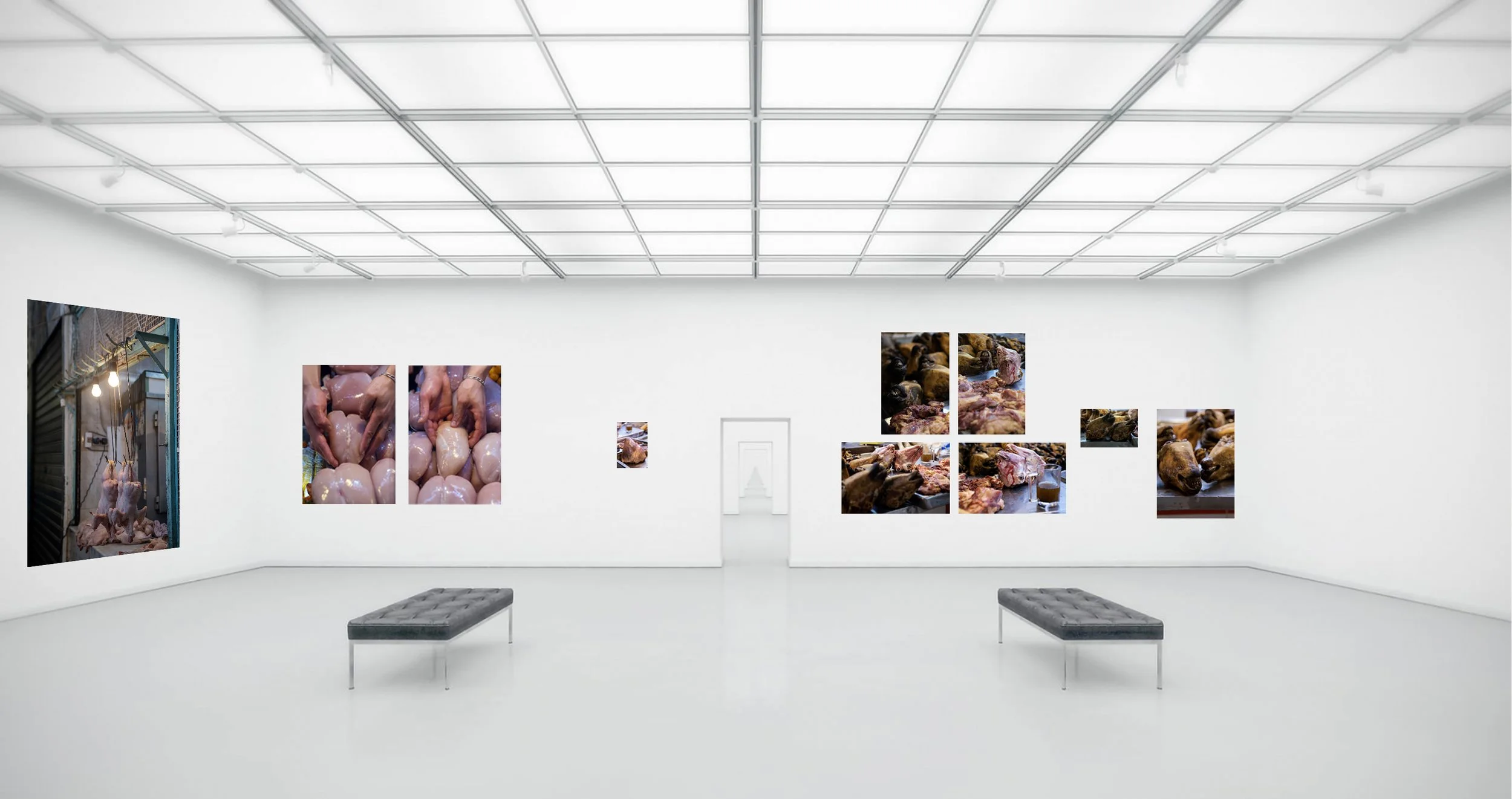 meat installed 1 .jpg