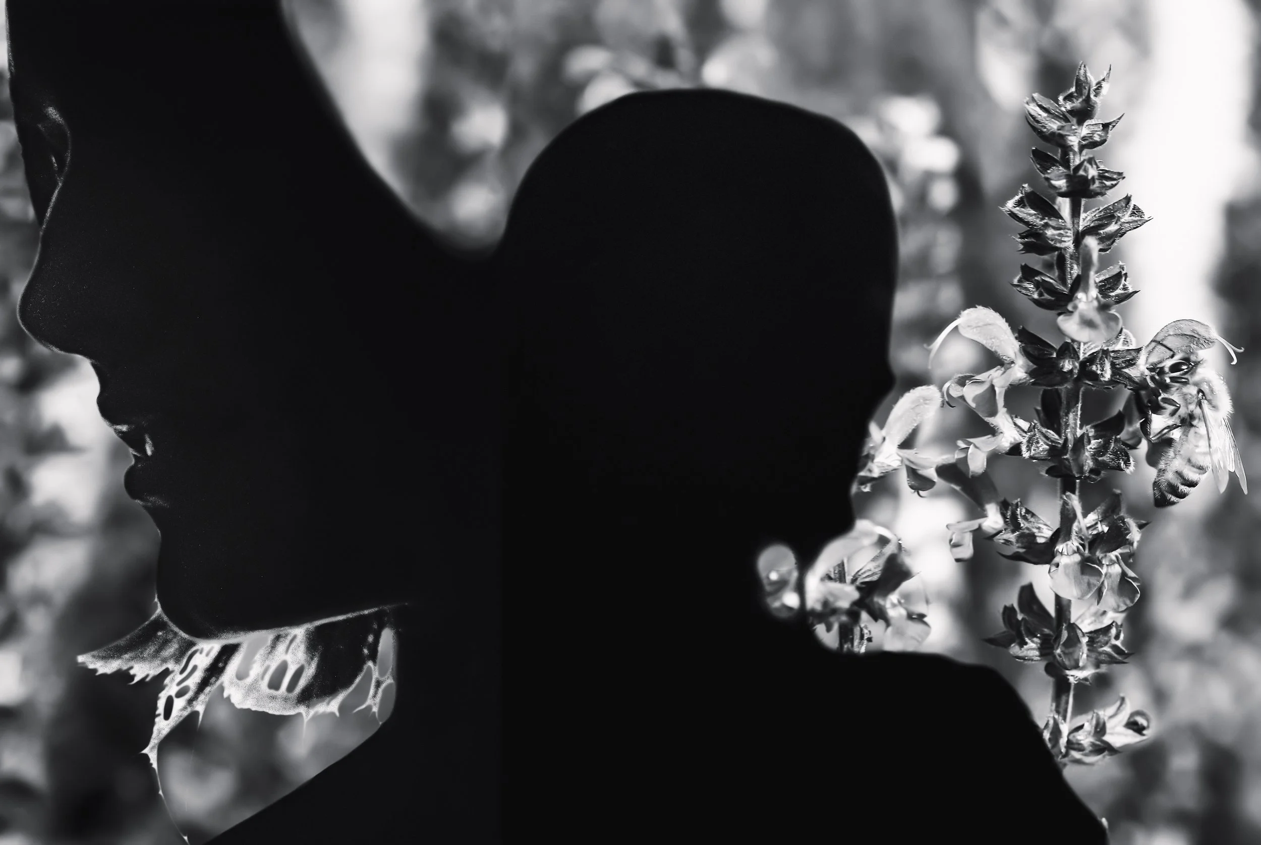 R1-00440-0012 Edit S.jpg