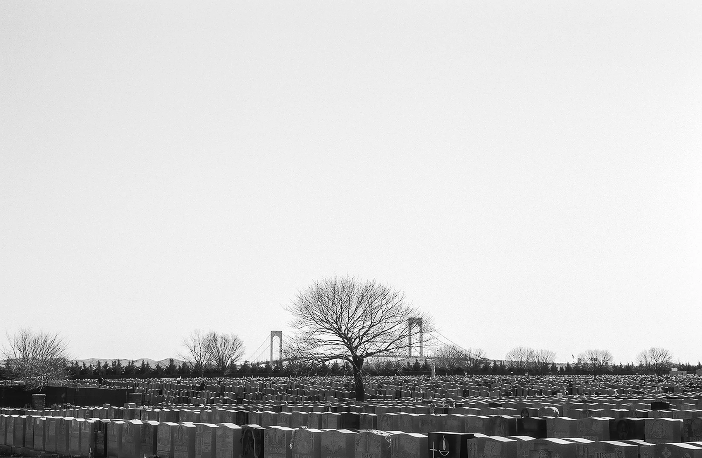 L0548R1-R01-008-Editar Edit S.jpg