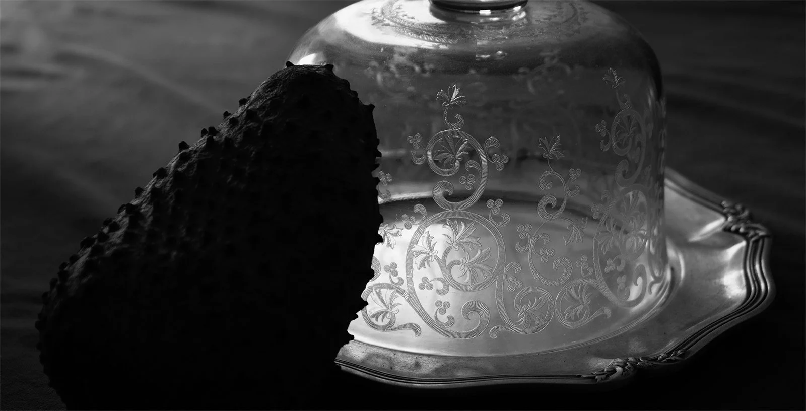 image-asset (5).jpeg