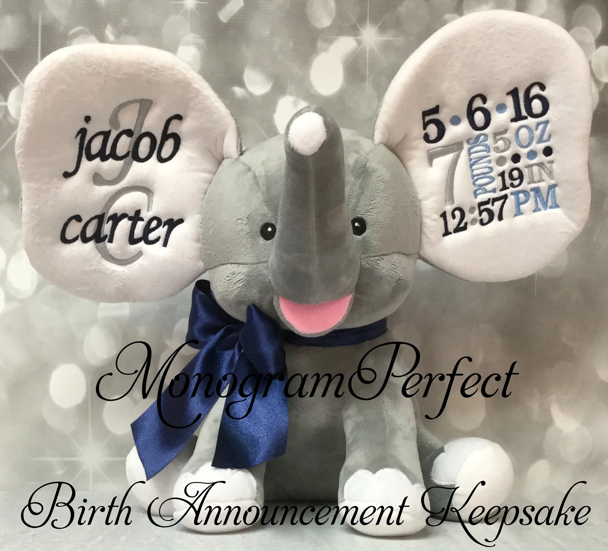 jacob carter gray elephant.JPG