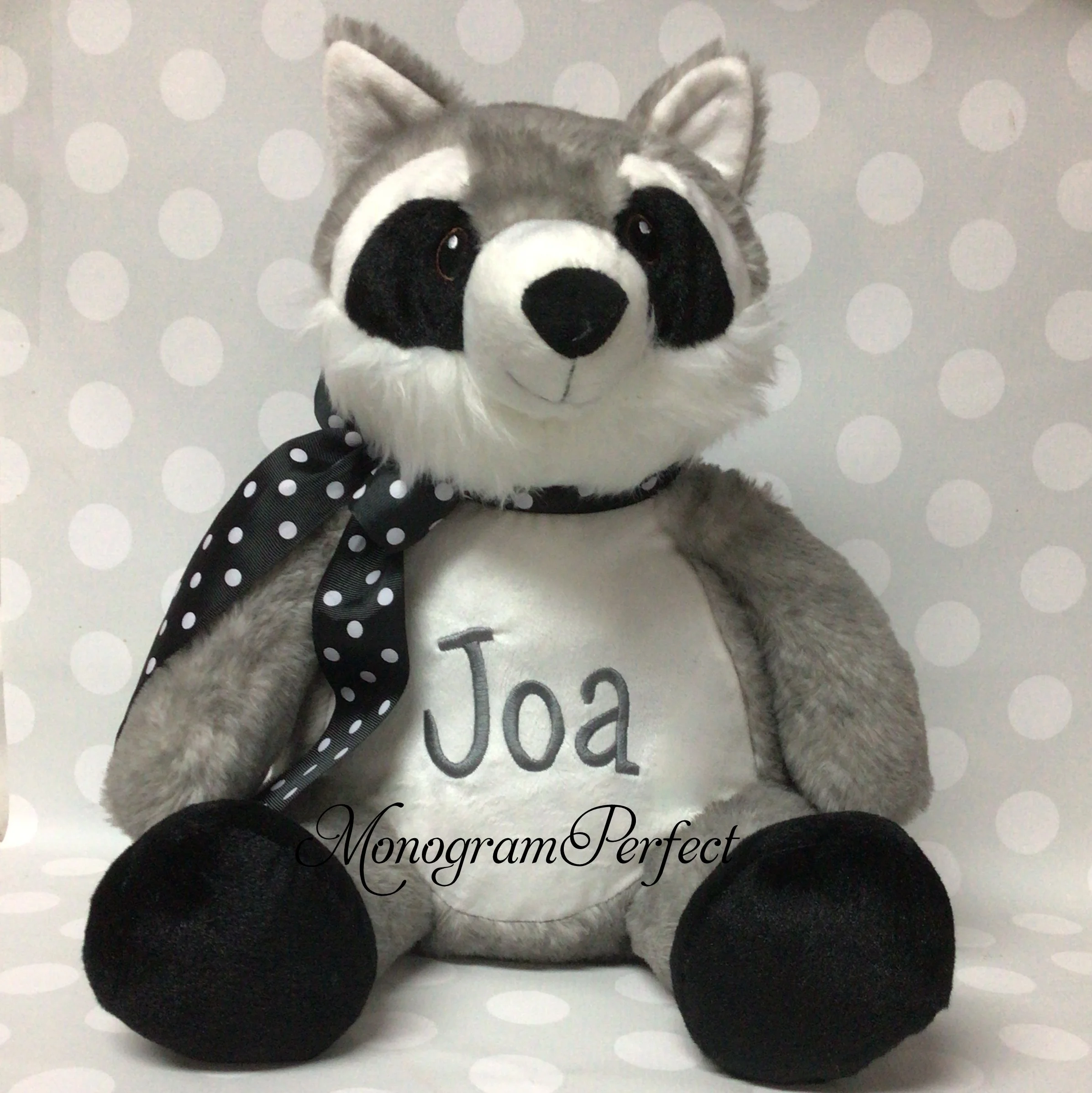 joa raccoon.jpg