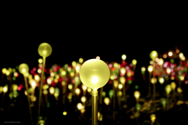 Houston Fills with Light