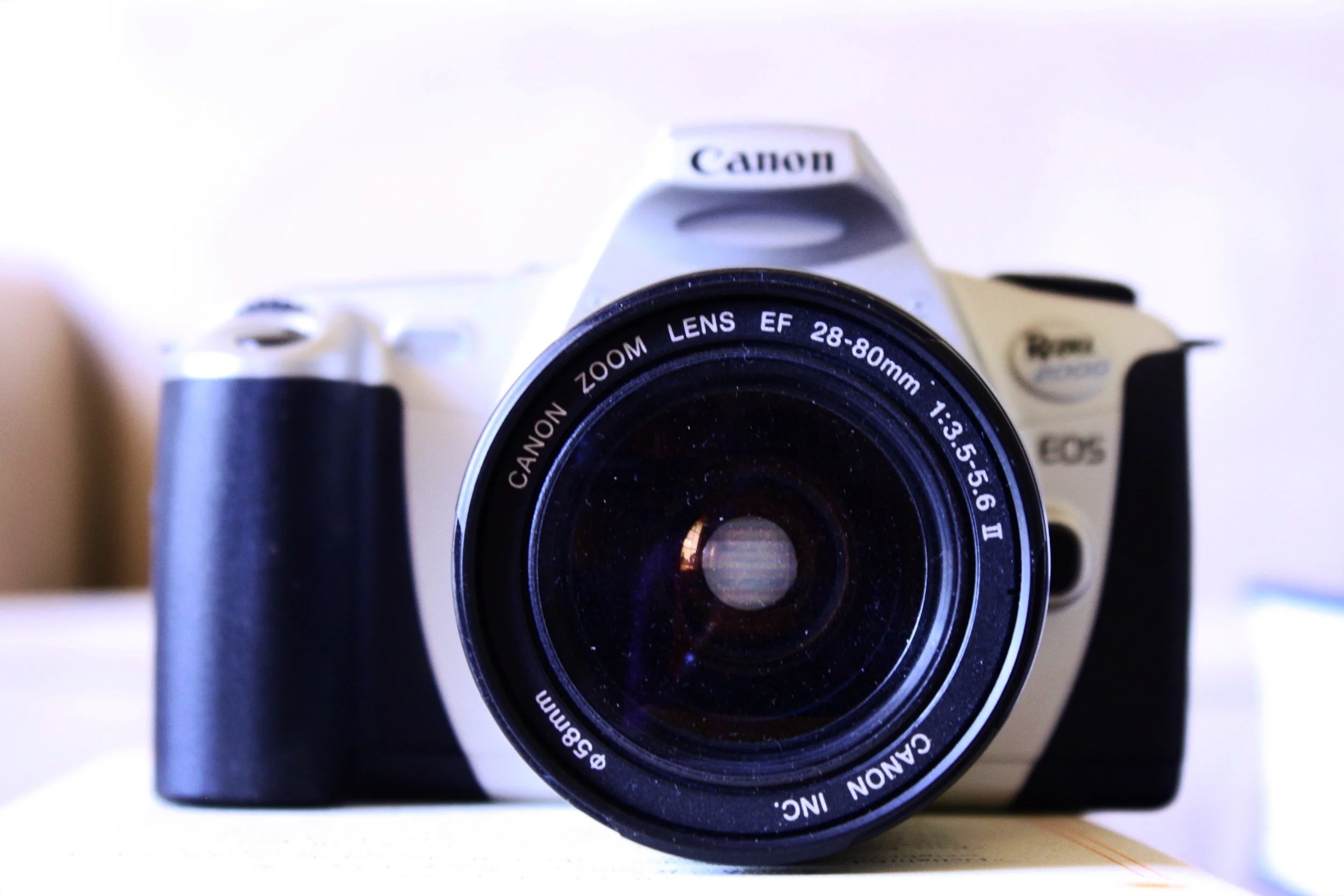 ReelAbilities - Celebrando los logros de grandes artistas