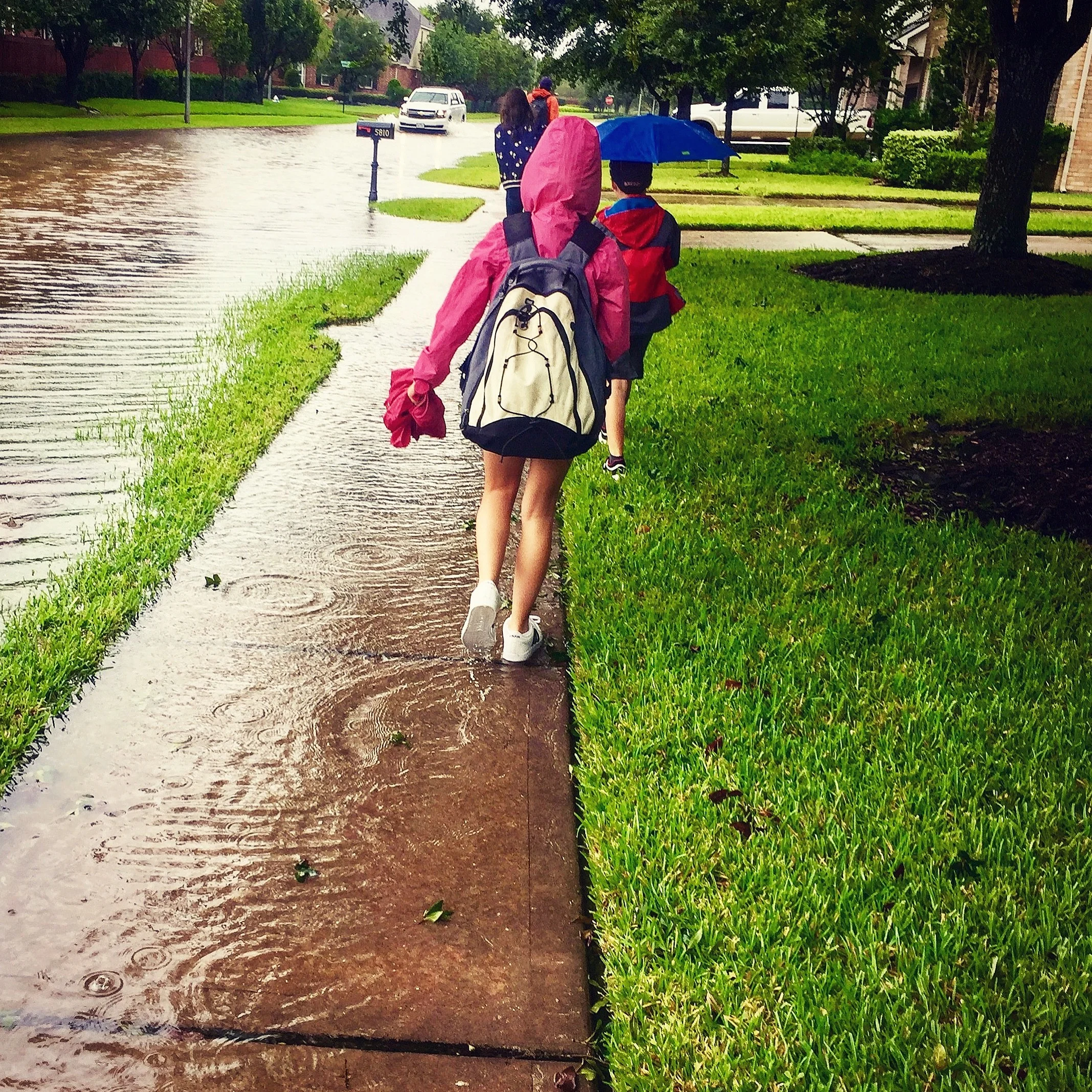 Un Año después del Huracán Harvey: Una retrospectiva y tips para estar preparados