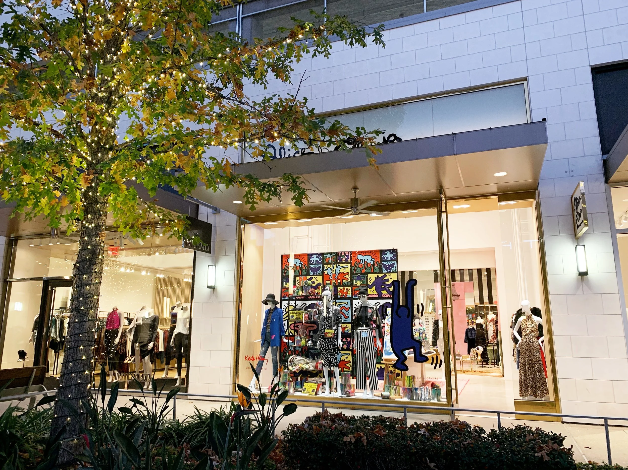 Houston with your Shopaholic Friend 