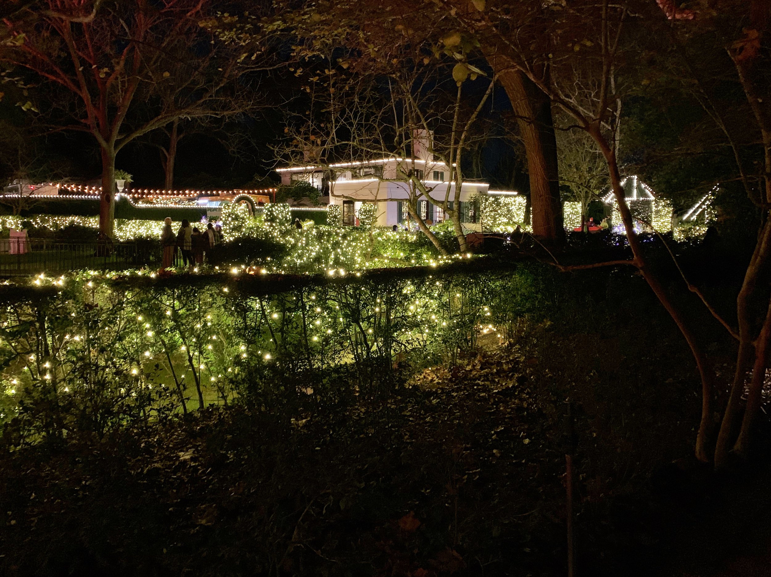 Christmas Magic At The Bayou Bend Collection And Gardens