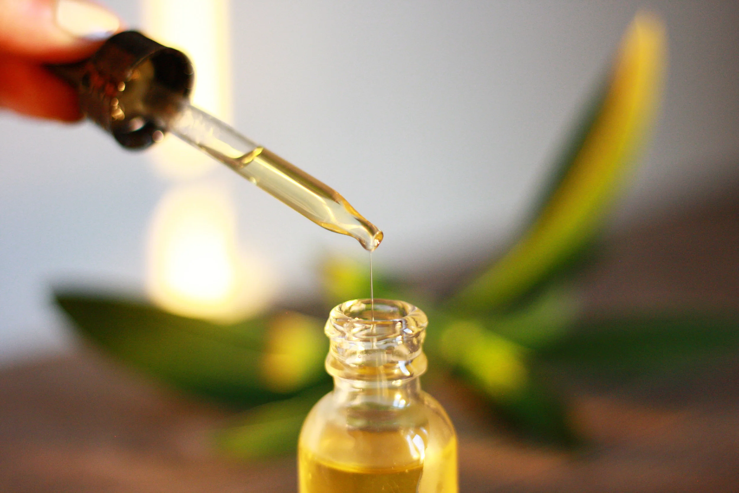 Everything you need to know about CBD 