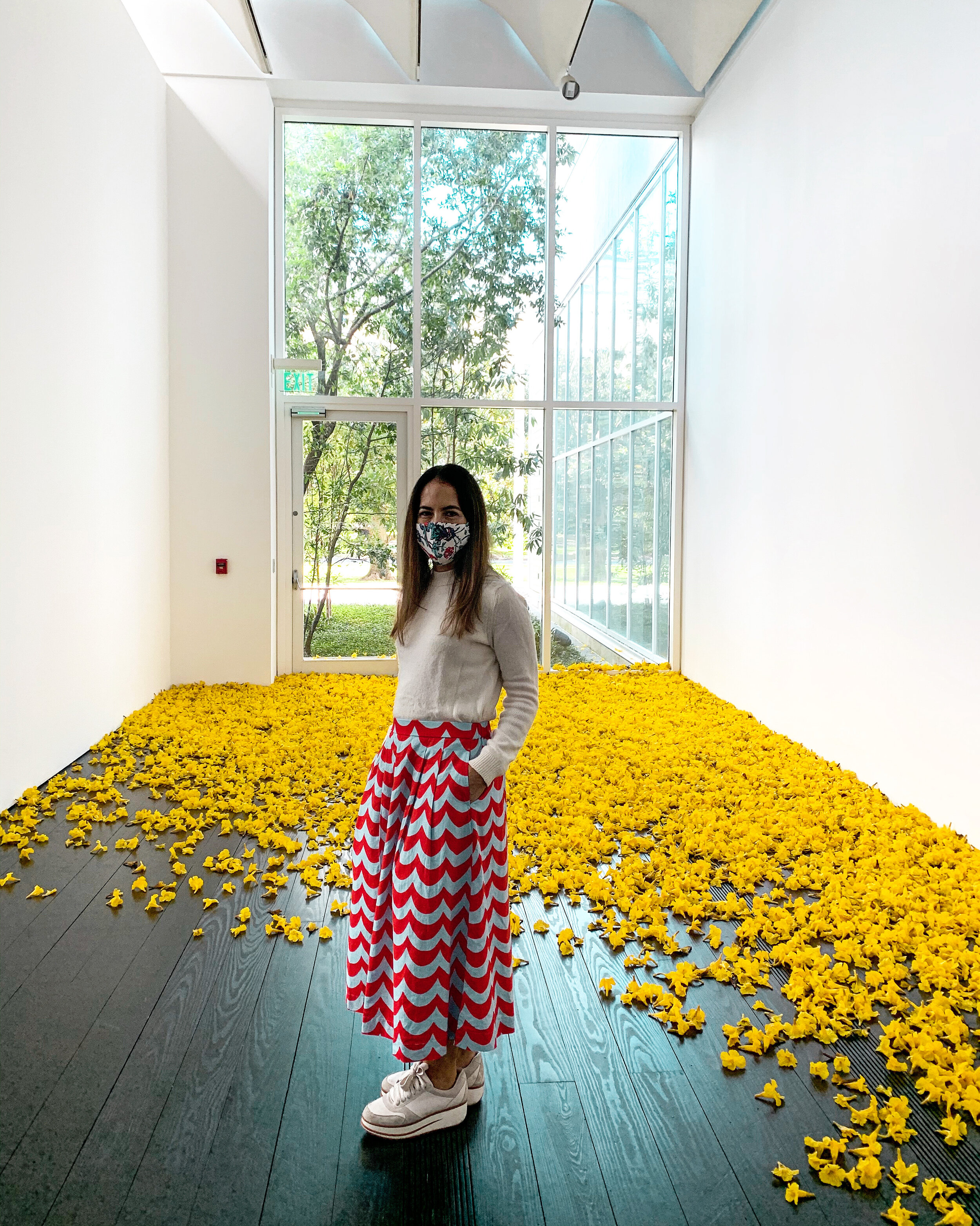 La reapertura del Museo Menil 