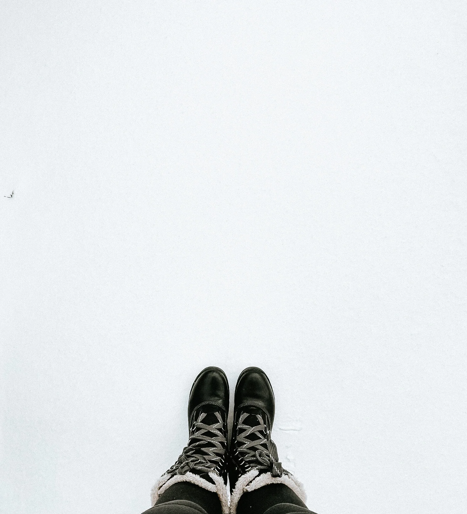 Una vez más, la naturaleza nos vino a dar una lección de vida.