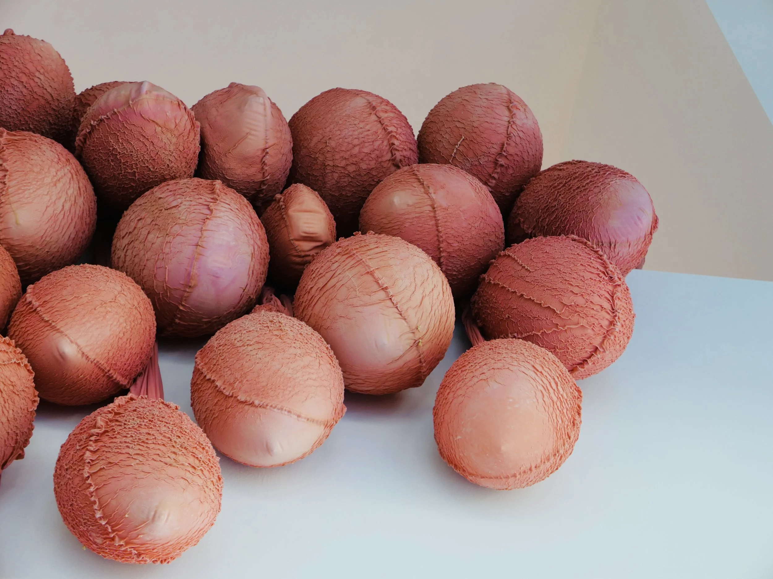 Eva Fábregas y seis artistas internacionales transforman Houston con la exposición Bio Morphe
