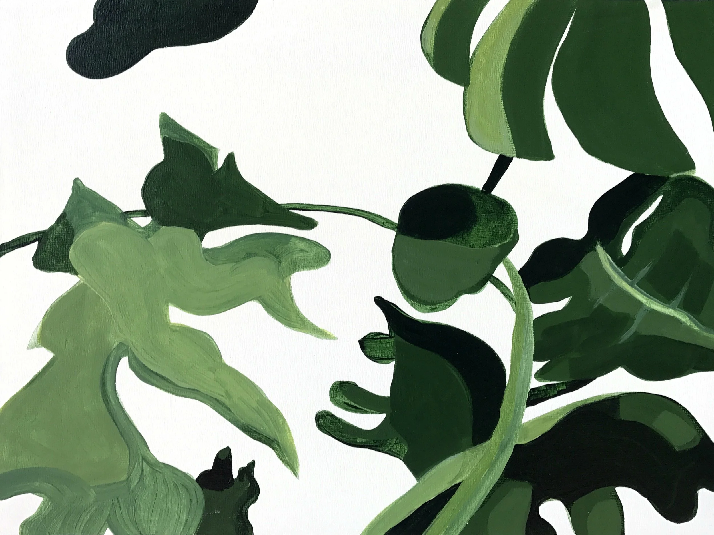Split Leaf II