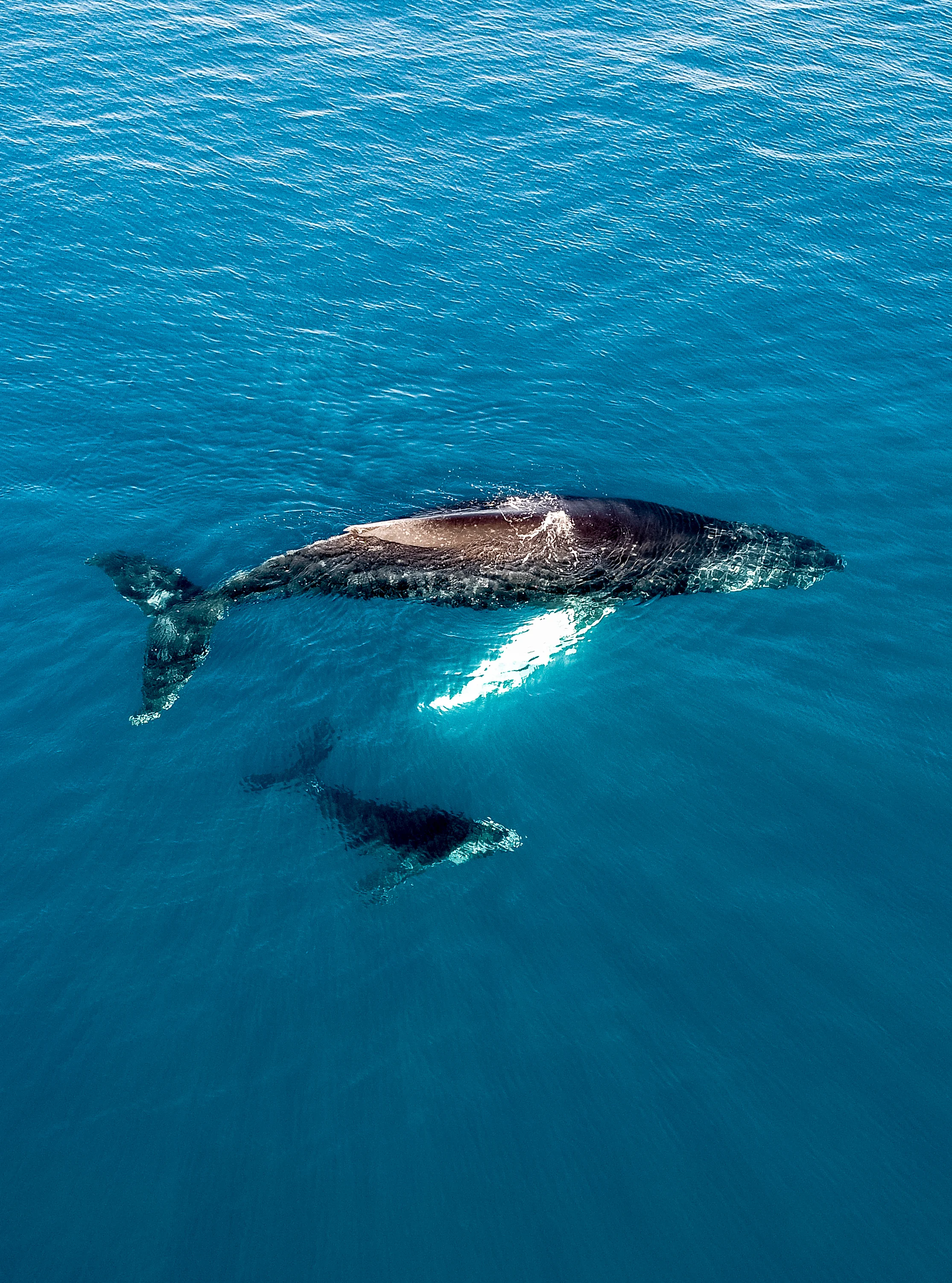 DJI_0036.jpg