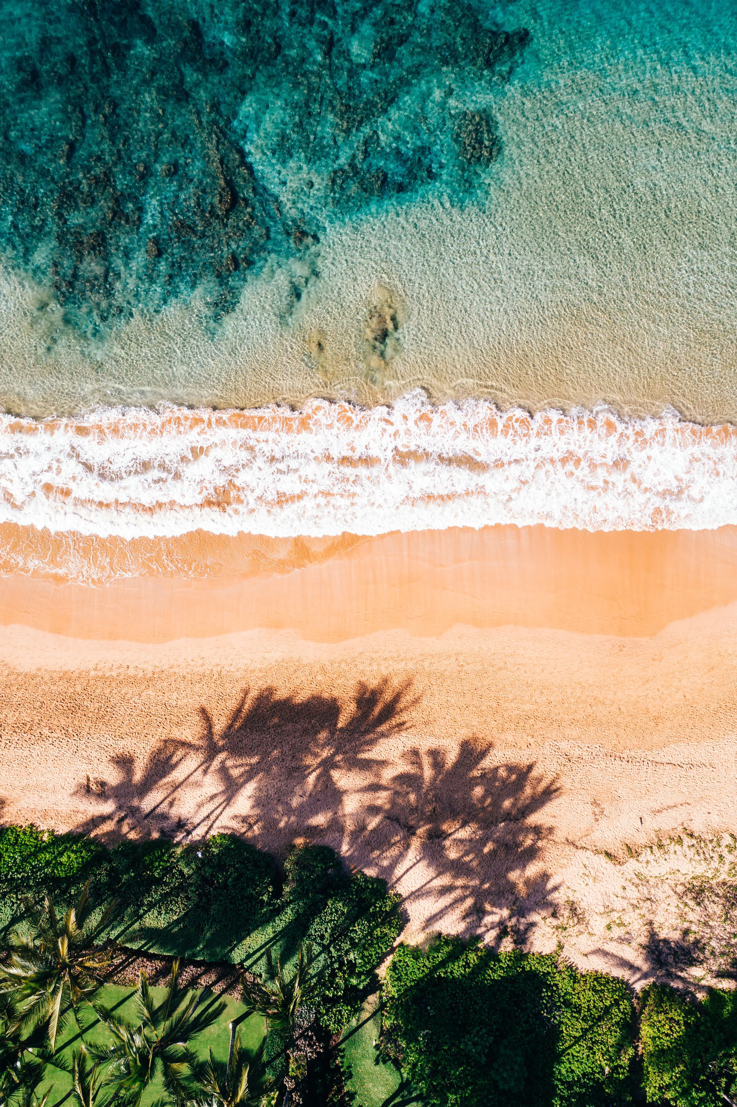 DJI_0038.jpg