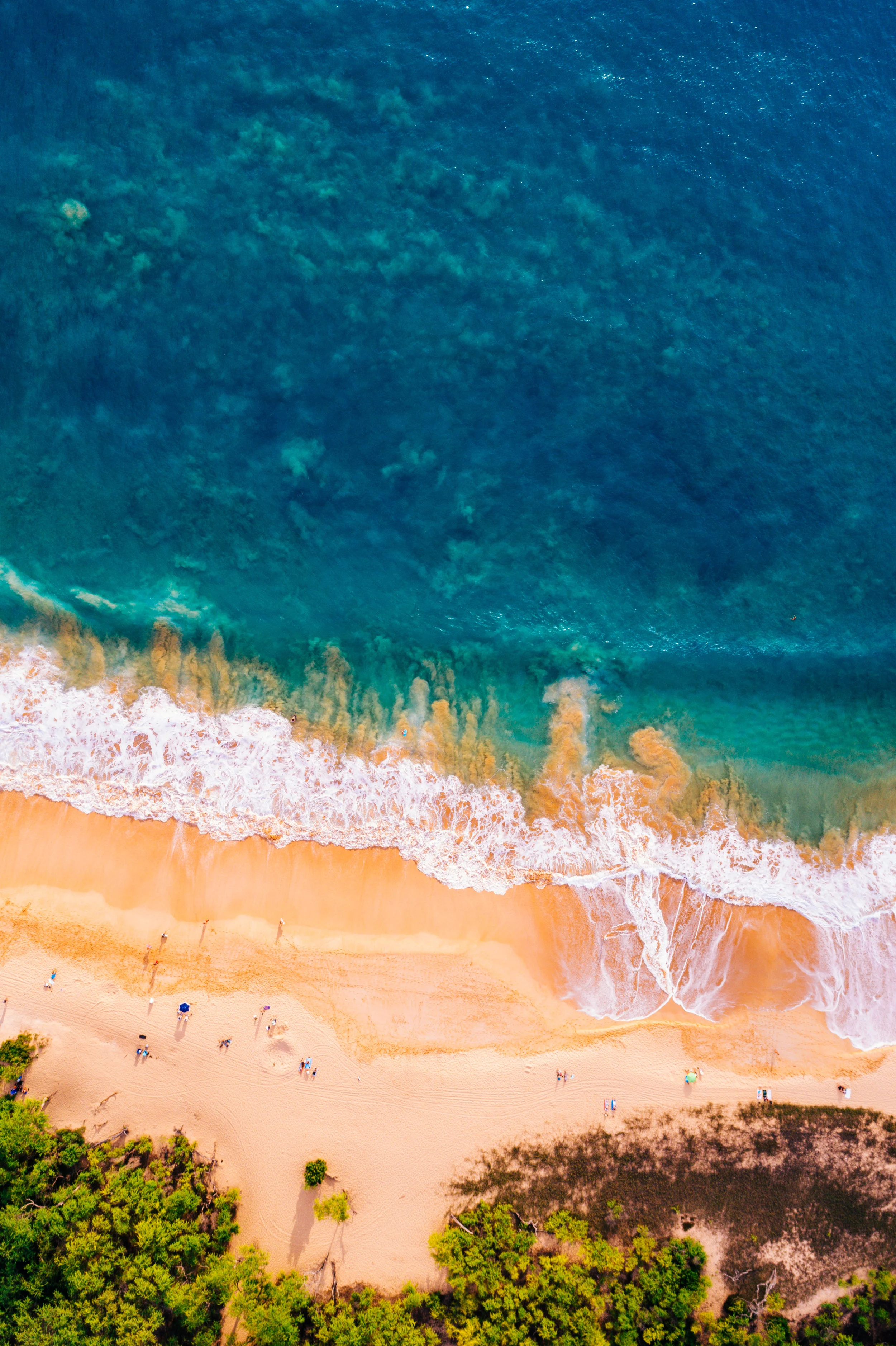DJI_0002.jpg