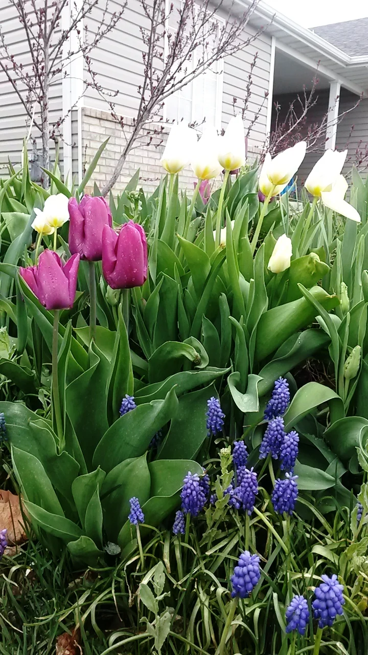 20180417_130301.jpg