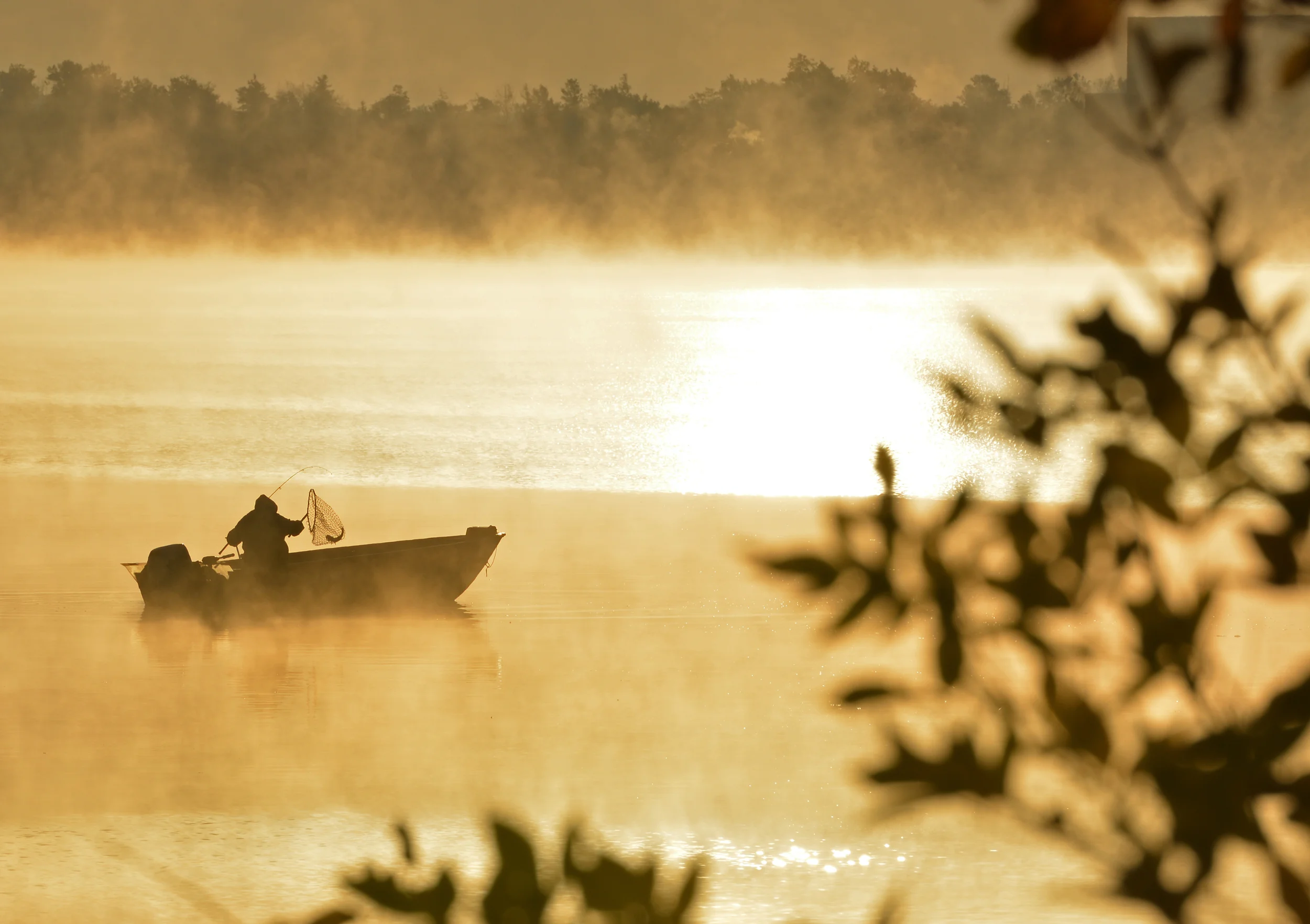 A fisherman nets a fish during a spectacular October sunrise over Lake Bemidji. 